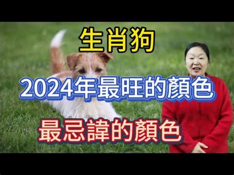 2023屬狗幸運物|【屬狗2023生肖運勢】事業運吉凶參半，桃花運節節。